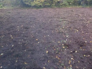 chal fon top soil blended and graded