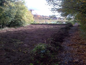 chalfon top soil removed
