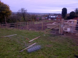 flecknoe stocl fence erection existing fence removed