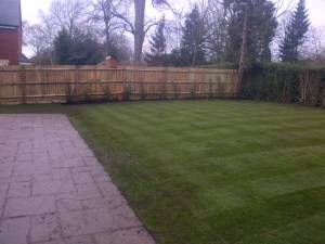 peterborough turf and planted beds 1